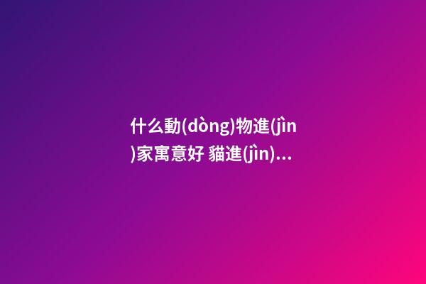 什么動(dòng)物進(jìn)家寓意好 貓進(jìn)家門會(huì)破財(cái)嗎